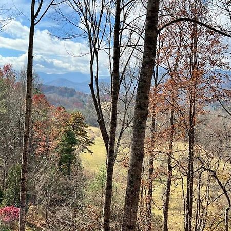 Misty Mountain Cottage Waynesville Exterior photo